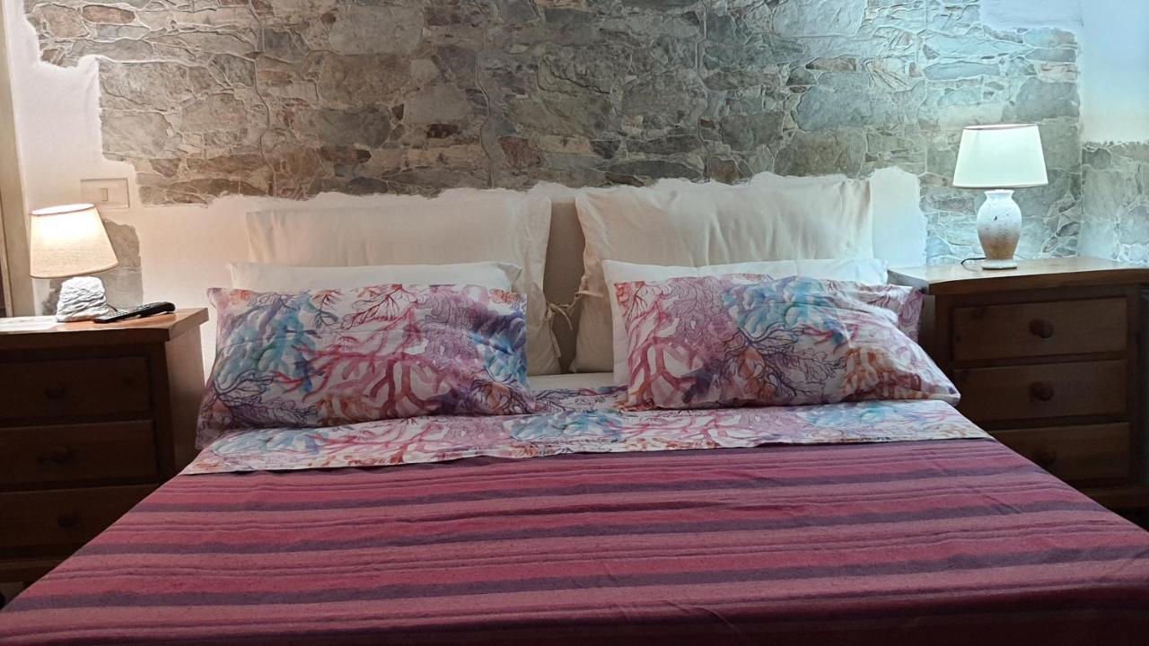 B&B Tenuta Di Vado Piano Nella Selva Di Circe Cerasella Kültér fotó
