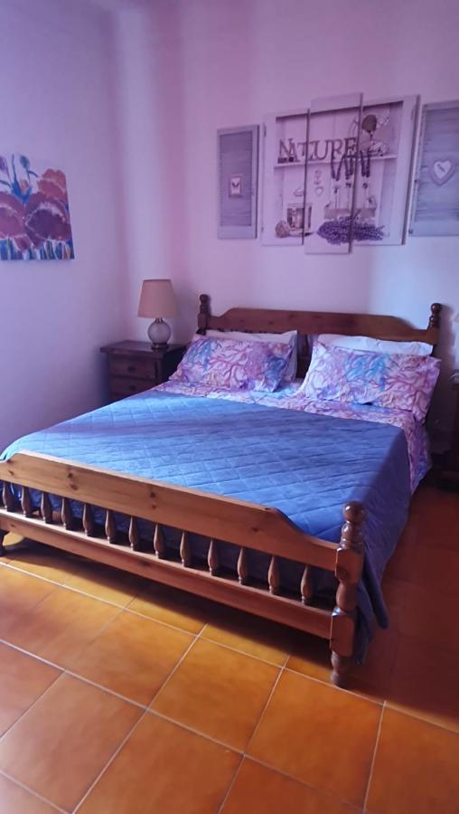B&B Tenuta Di Vado Piano Nella Selva Di Circe Cerasella Kültér fotó
